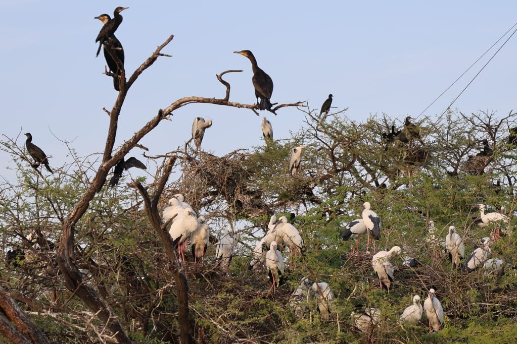 Rondreis India Maatwerkreizen Never Stop Travelling Delhi Mumbai Udaipur Taj Mahal Agra Jaipur Kerala Jodhpur Avontuurlijk Azië