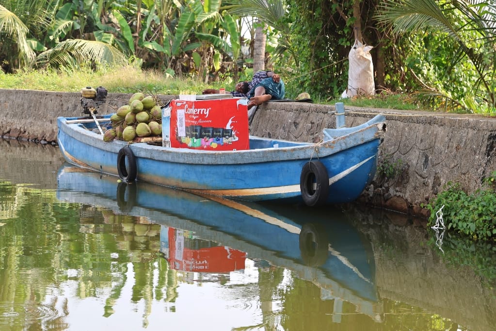 Rondreis India Maatwerkreizen Never Stop Travelling Delhi Mumbai Udaipur Taj Mahal Agra Jaipur Kerala Jodhpur Avontuurlijk Azië