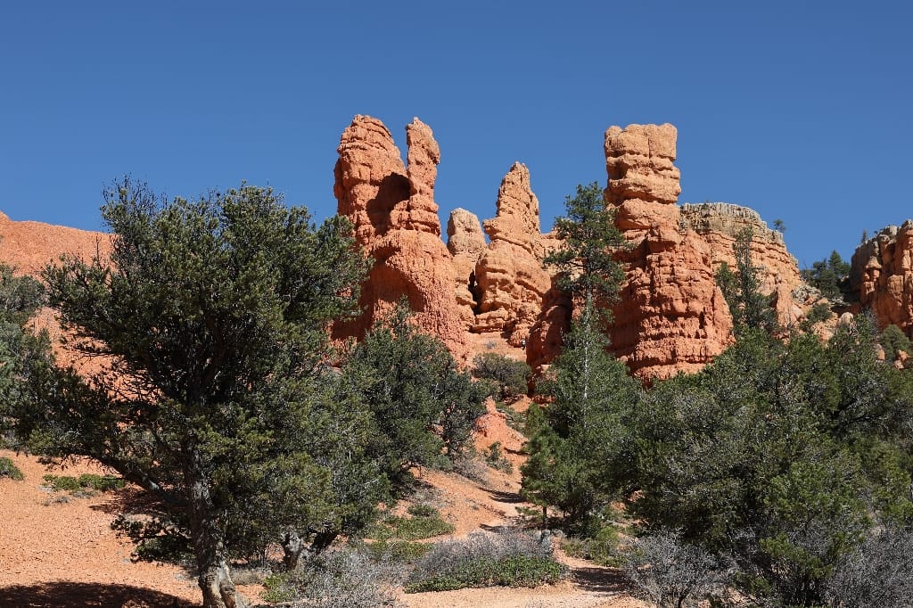 Amerika USA rondreis Las Vegas Death Valley Zion NP Grand Canyon Bryce Canyon Page Route66 Selfdrive Never Stop Travelling