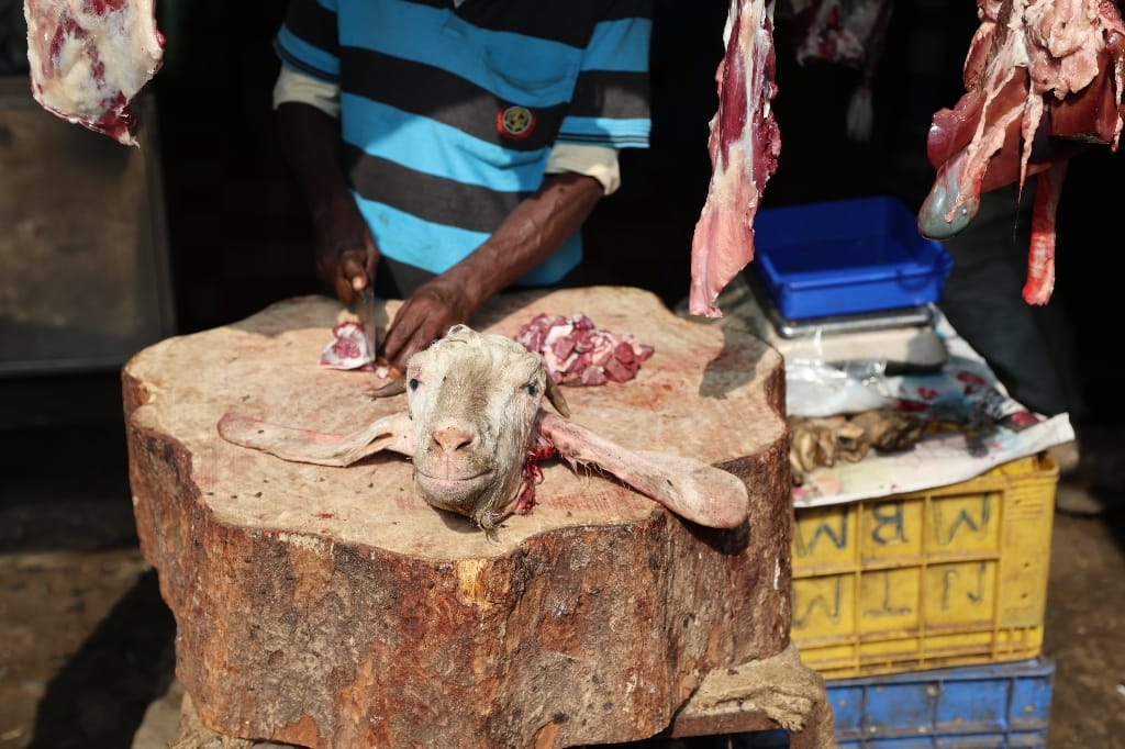 Rondreis India Maatwerkreizen Never Stop Travelling Delhi Mumbai Udaipur Taj Mahal Agra Jaipur Kerala Jodhpur Avontuurlijk Azië