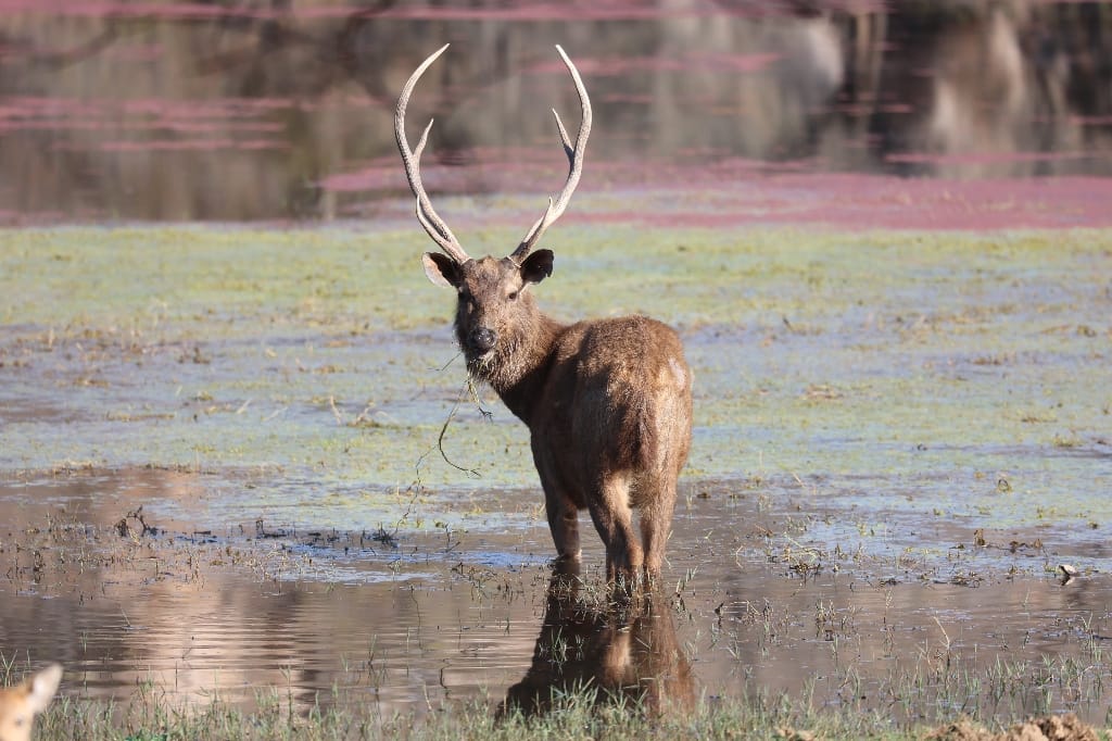 Rondreis India Maatwerkreizen Never Stop Travelling Delhi Mumbai Udaipur Taj Mahal Agra Jaipur Kerala Jodhpur