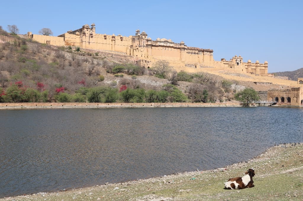 Rondreis India Maatwerkreizen Never Stop Travelling Delhi Mumbai Udaipur Taj Mahal Agra Jaipur Kerala Jodhpur