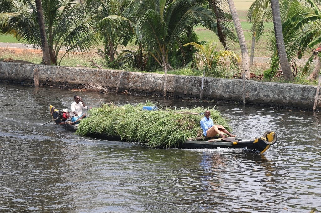 Rondreis India Maatwerkreizen Never Stop Travelling Delhi Mumbai Udaipur Taj Mahal Agra Jaipur Kerala Jodhpur Avontuurlijk Azië