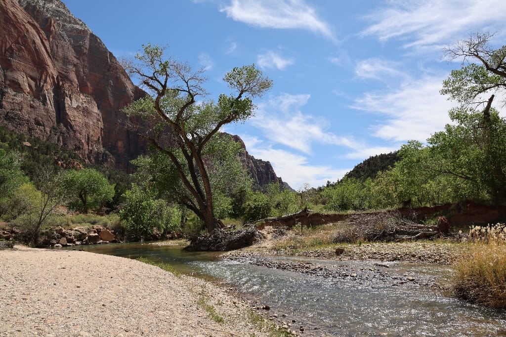 Amerika USA rondreis Las Vegas Death Valley Zion NP Grand Canyon Bryce Canyon Page Route66 Selfdrive Never Stop Travelling