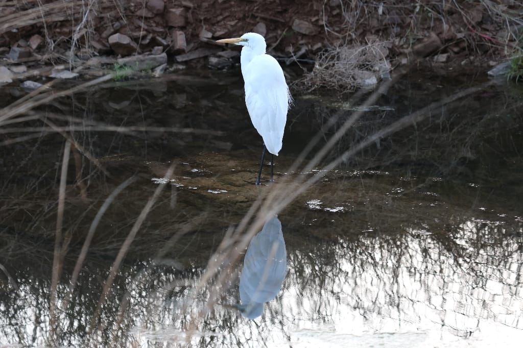 Rondreis India Maatwerkreizen Never Stop Travelling Delhi Mumbai Udaipur Taj Mahal Agra Jaipur Kerala Jodhpur