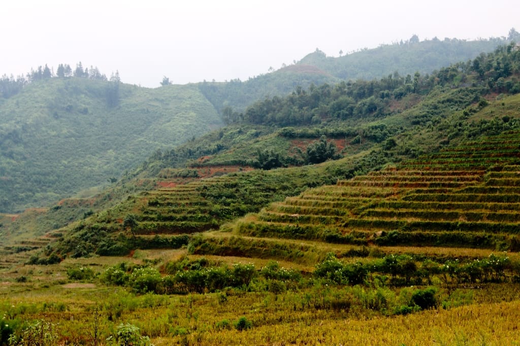 Vietnam Sapa