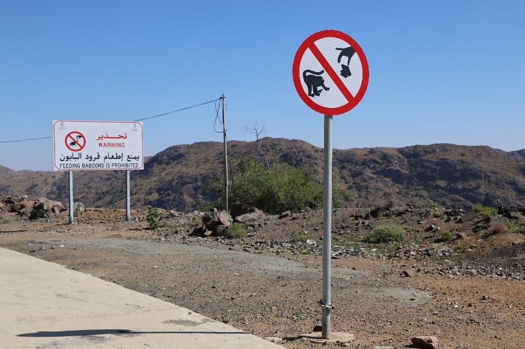 Saoedi Arabië Rondreis Maatwerkreizen