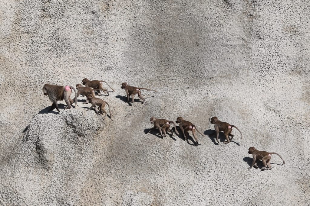 Saoedi Arabië Rondreis Maatwerkreizen