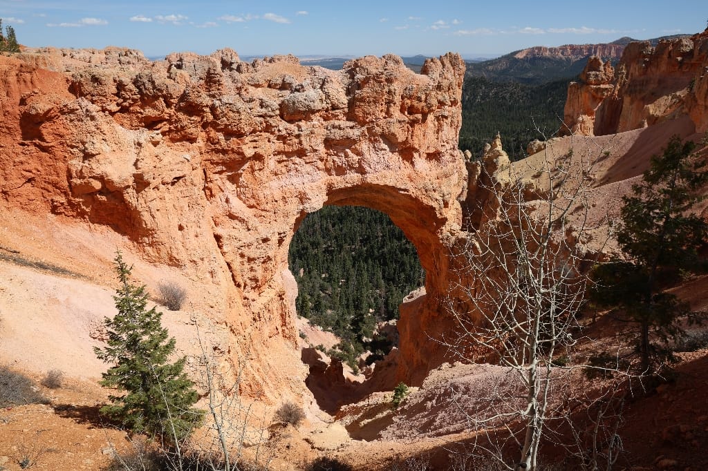 Amerika USA rondreis Las Vegas Death Valley Zion NP Grand Canyon Bryce Canyon Page Route66 Selfdrive Never Stop Travelling