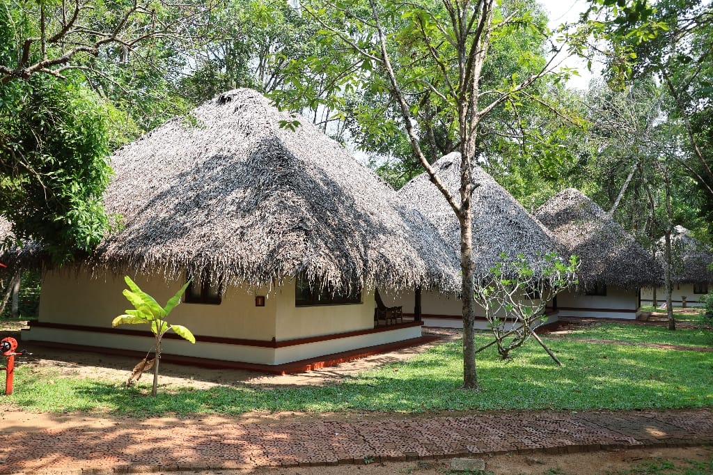 Rondreis India Maatwerkreizen Never Stop Travelling Delhi Mumbai Udaipur Taj Mahal Agra Jaipur Kerala Jodhpur Avontuurlijk Azië