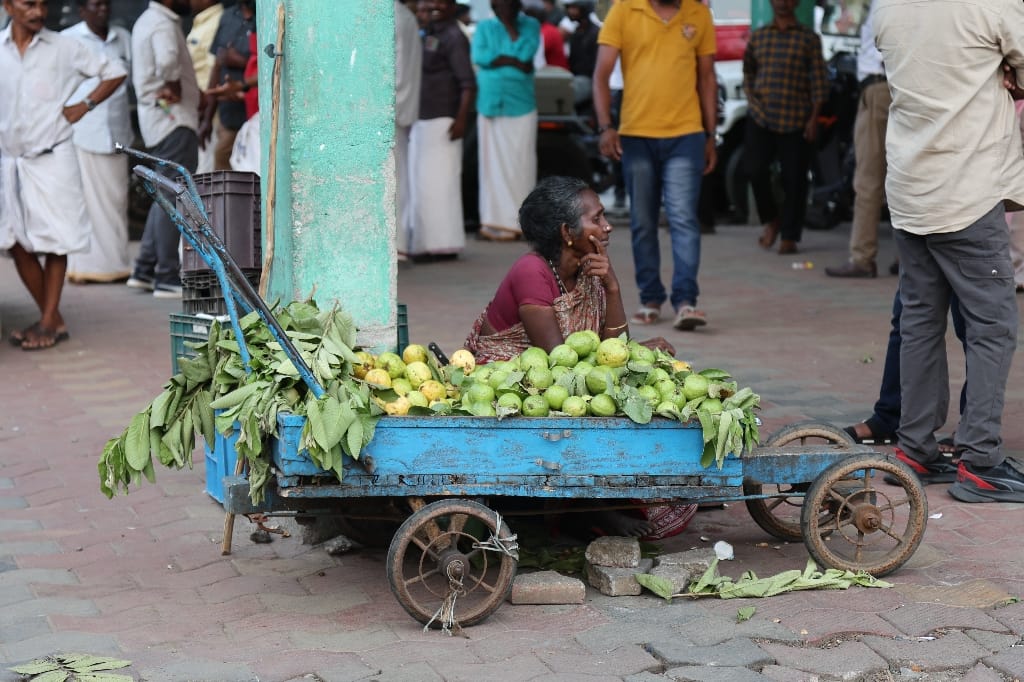 Rondreis India Maatwerkreizen Never Stop Travelling Delhi Mumbai Udaipur Taj Mahal Agra Jaipur Kerala Jodhpur Avontuurlijk Azië