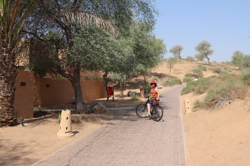 Ras Al Khaimah UAE Woestijn
