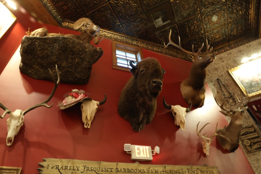 Amerika USA rondreis Las Vegas Death Valley Zion NP Grand Canyon Bryce Canyon Page Route66 Selfdrive Never Stop Travelling