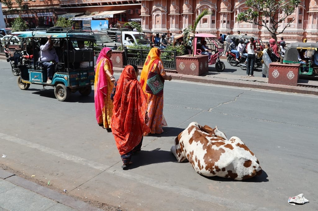 Rondreis India Maatwerkreizen Never Stop Travelling Delhi Mumbai Udaipur Taj Mahal Agra Jaipur Kerala Jodhpur