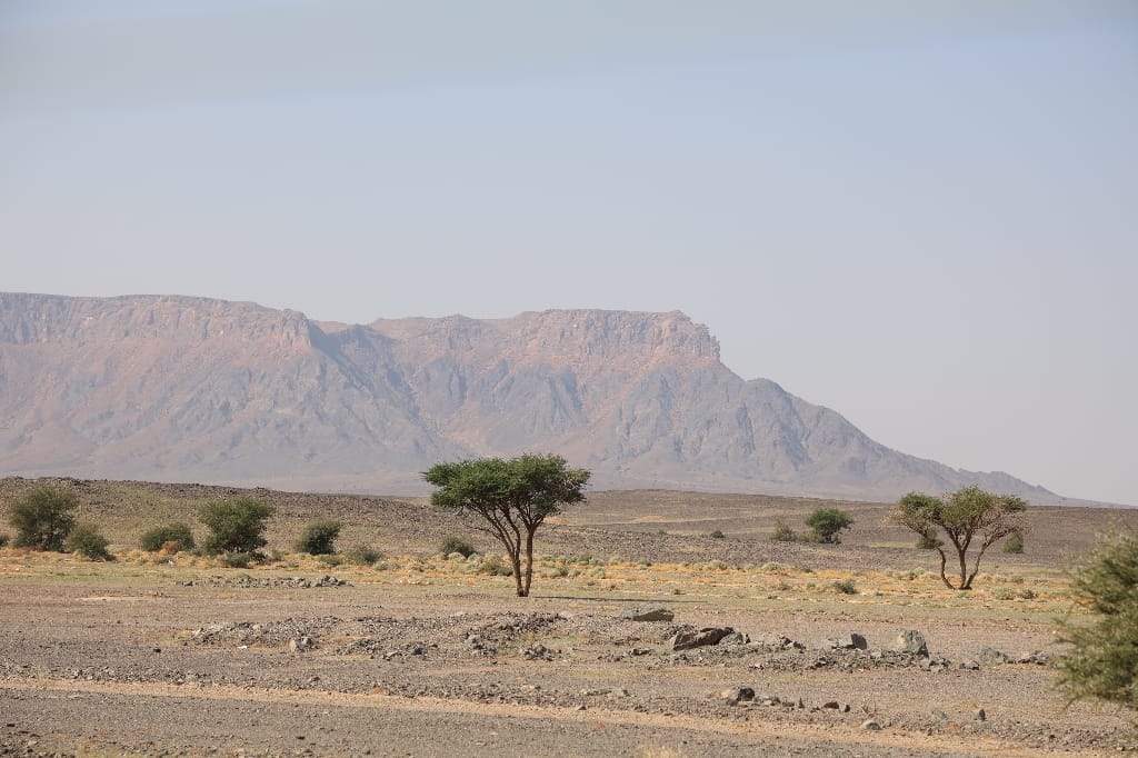 Saoedi Arabië Rondreis Maatwerkreizen
