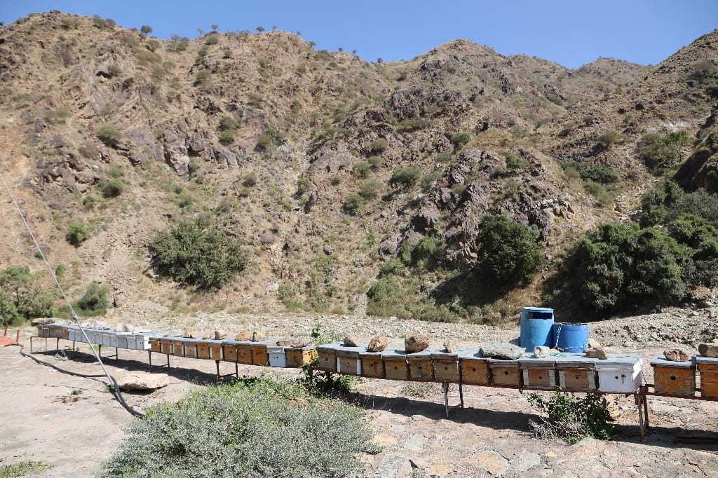 Saoedi Arabië Rondreis Maatwerkreizen Wadi Lajab Jizan