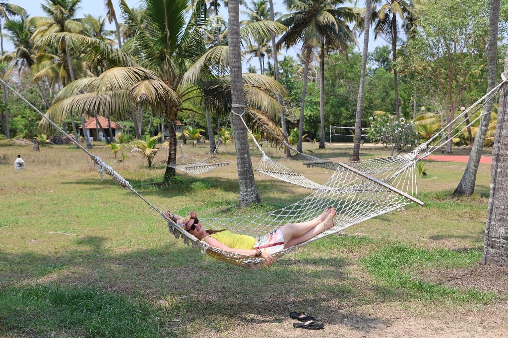 Rondreis India Maatwerkreizen Never Stop Travelling Delhi Mumbai Udaipur Taj Mahal Agra Jaipur Kerala Jodhpur Avontuurlijk Azië