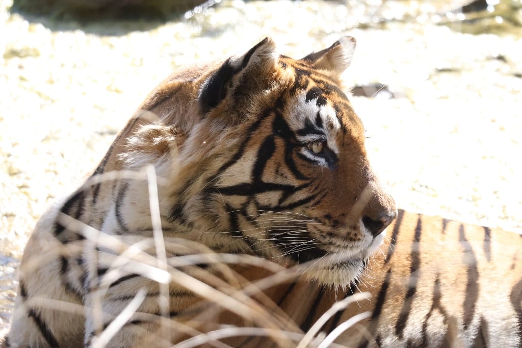 Rondreis India Maatwerkreizen Never Stop Travelling Delhi Mumbai Udaipur Taj Mahal Agra Jaipur Kerala Jodhpur