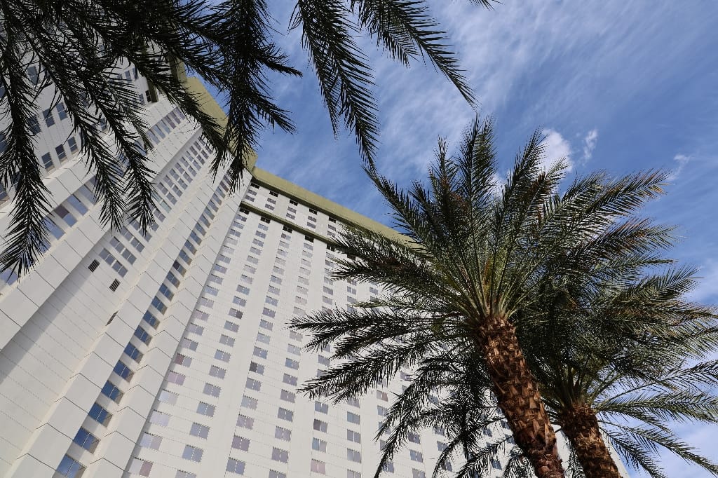 Amerika USA rondreis Las Vegas Death Valley Zion NP Grand Canyon Bryce Canyon Page Route66 Selfdrive Never Stop Travelling