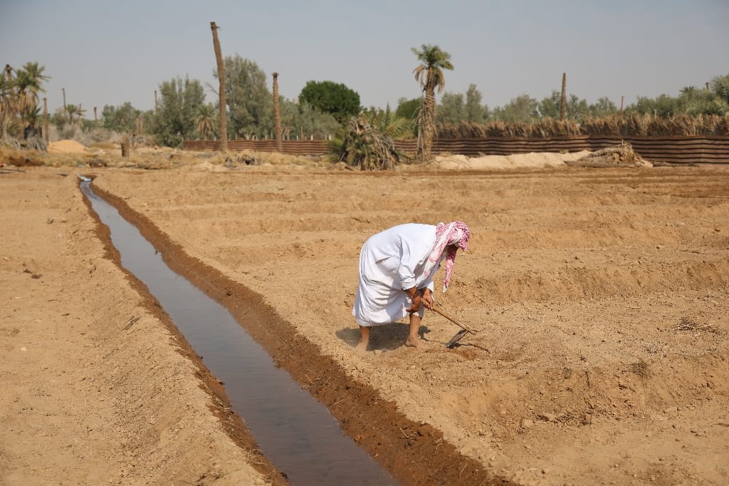 Saoedi Arabië Rondreis Maatwerkreizen Buraidah