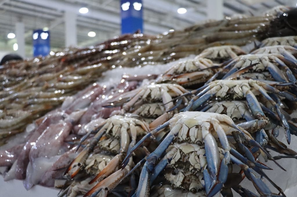 Dubai UAE Waterfront Market