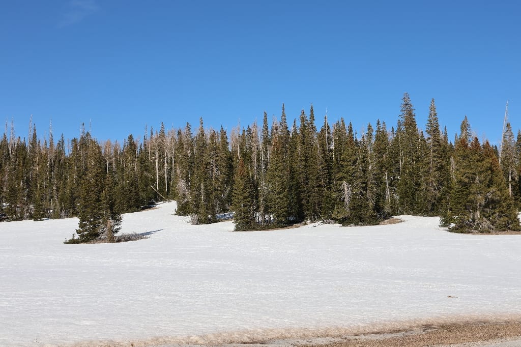 Amerika USA rondreis Las Vegas Death Valley Zion NP Grand Canyon Bryce Canyon Page Route66 Selfdrive Never Stop Travelling