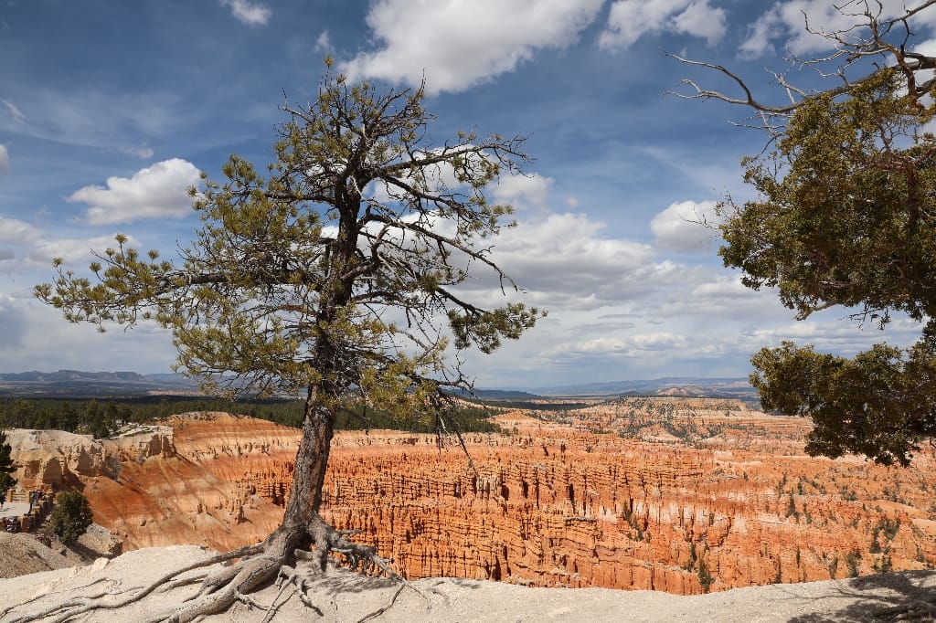 Amerika USA rondreis Las Vegas Death Valley Zion NP Grand Canyon Bryce Canyon Page Route66 Selfdrive Never Stop Travelling