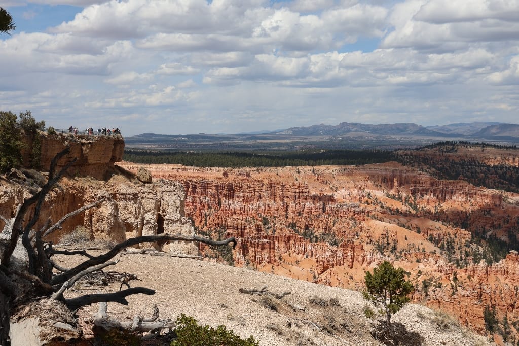 Amerika USA rondreis Las Vegas Death Valley Zion NP Grand Canyon Bryce Canyon Page Route66 Selfdrive Never Stop Travelling