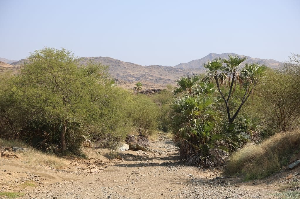 Saoedi Arabië Rondreis Maatwerkreizen Jizan