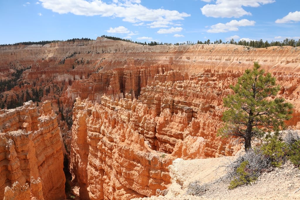 Amerika USA rondreis Las Vegas Death Valley Zion NP Grand Canyon Bryce Canyon Page Route66 Selfdrive Never Stop Travelling