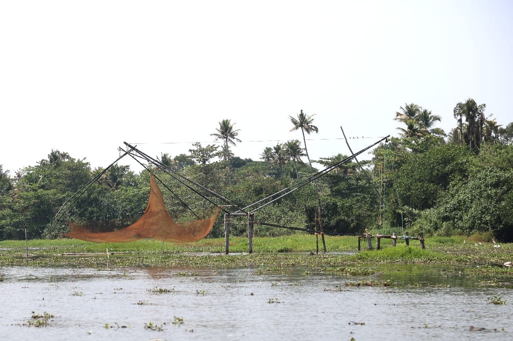 Rondreis India Maatwerkreizen Never Stop Travelling Delhi Mumbai Udaipur Taj Mahal Agra Jaipur Kerala Jodhpur Avontuurlijk Azië
