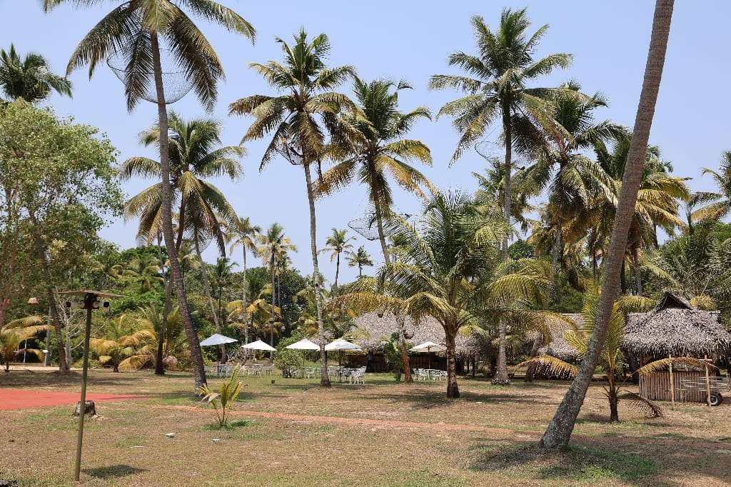 Rondreis India Maatwerkreizen Never Stop Travelling Delhi Mumbai Udaipur Taj Mahal Agra Jaipur Kerala Jodhpur Avontuurlijk Azië