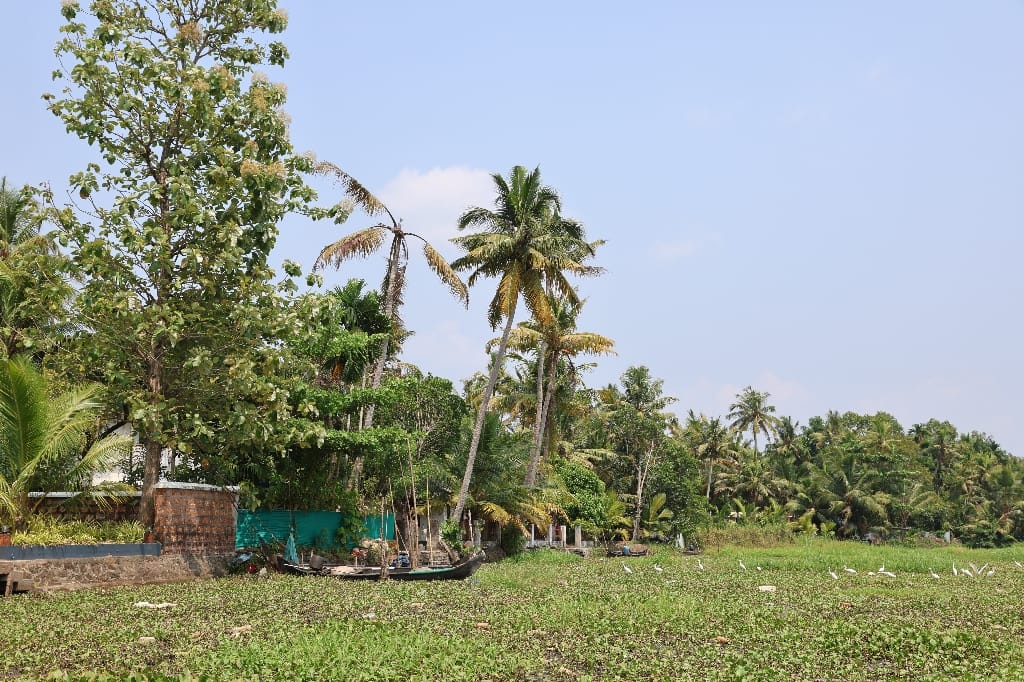 Rondreis India Maatwerkreizen Never Stop Travelling Delhi Mumbai Udaipur Taj Mahal Agra Jaipur Kerala Jodhpur Avontuurlijk Azië