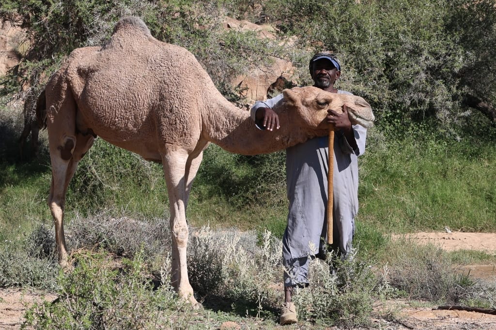 Saoedi Arabië Rondreis Maatwerkreizen Taif
