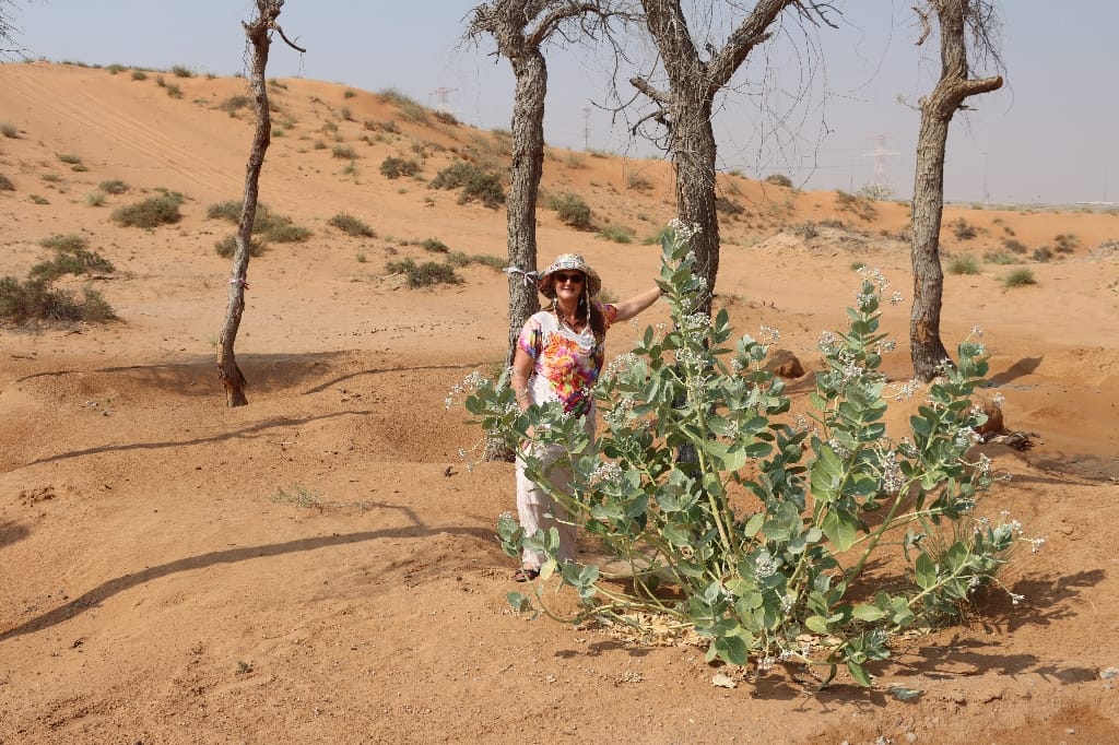 Ras Al Khaimah UAE