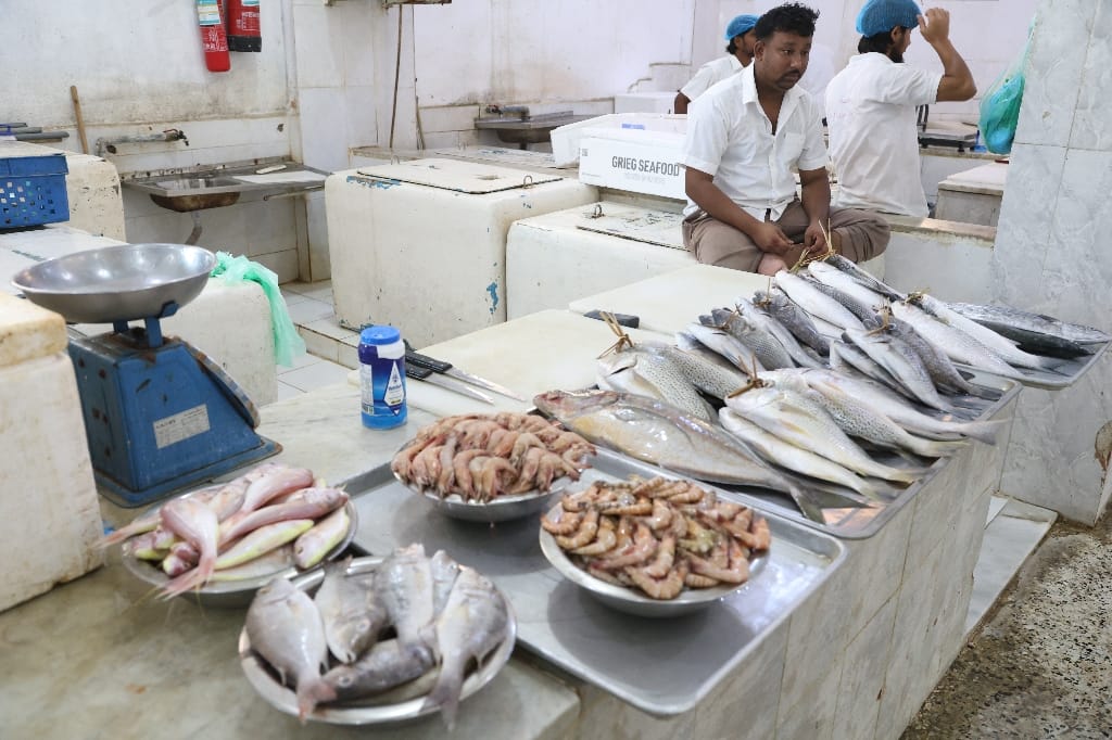 Saoedi Arabië Rondreis Maatwerkreizen Jizan