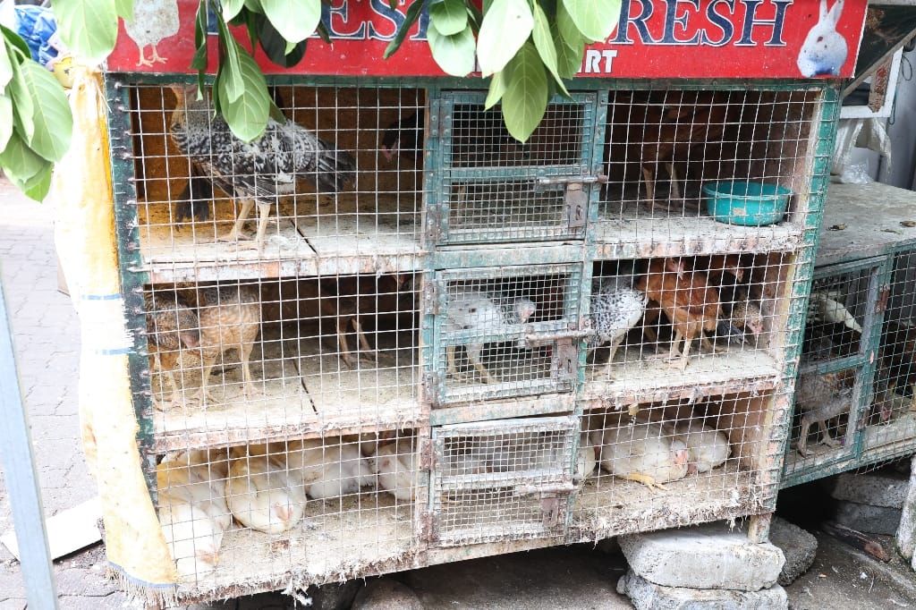 Rondreis India Maatwerkreizen Never Stop Travelling Delhi Mumbai Udaipur Taj Mahal Agra Jaipur Kerala Jodhpur Avontuurlijk Azië