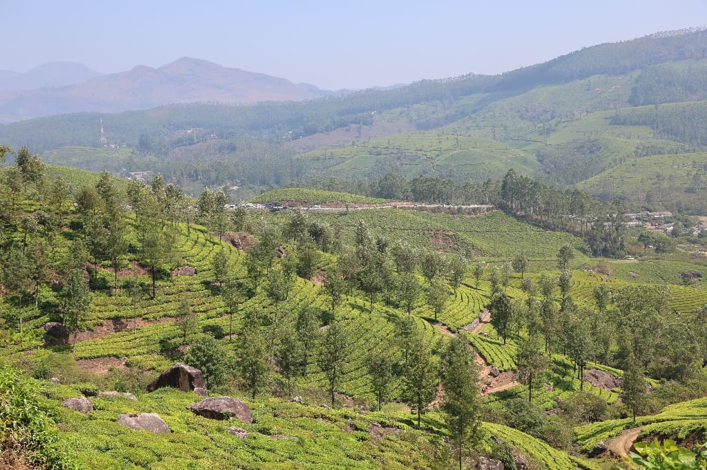 Rondreis India Maatwerkreizen Never Stop Travelling Delhi Mumbai Udaipur Taj Mahal Agra Jaipur Kerala Jodhpur Avontuurlijk Azië