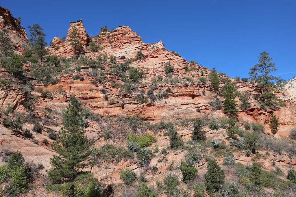 Amerika USA rondreis Las Vegas Death Valley Zion NP Grand Canyon Bryce Canyon Page Route66 Selfdrive Never Stop Travelling