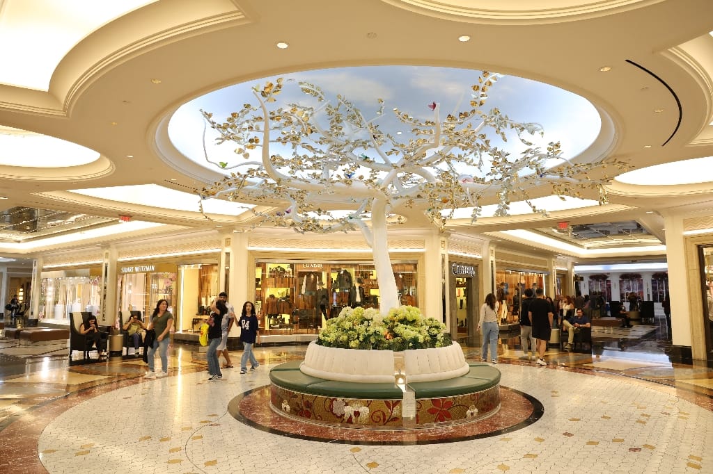 Amerika USA rondreis Las Vegas Death Valley Zion NP Grand Canyon Bryce Canyon Page Route66 Selfdrive Never Stop Travelling