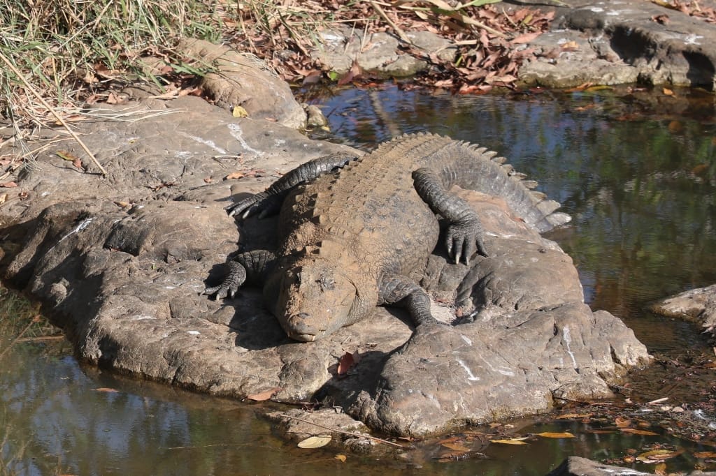 Rondreis India Maatwerkreizen Never Stop Travelling Delhi Mumbai Udaipur Taj Mahal Agra Jaipur Kerala Jodhpur