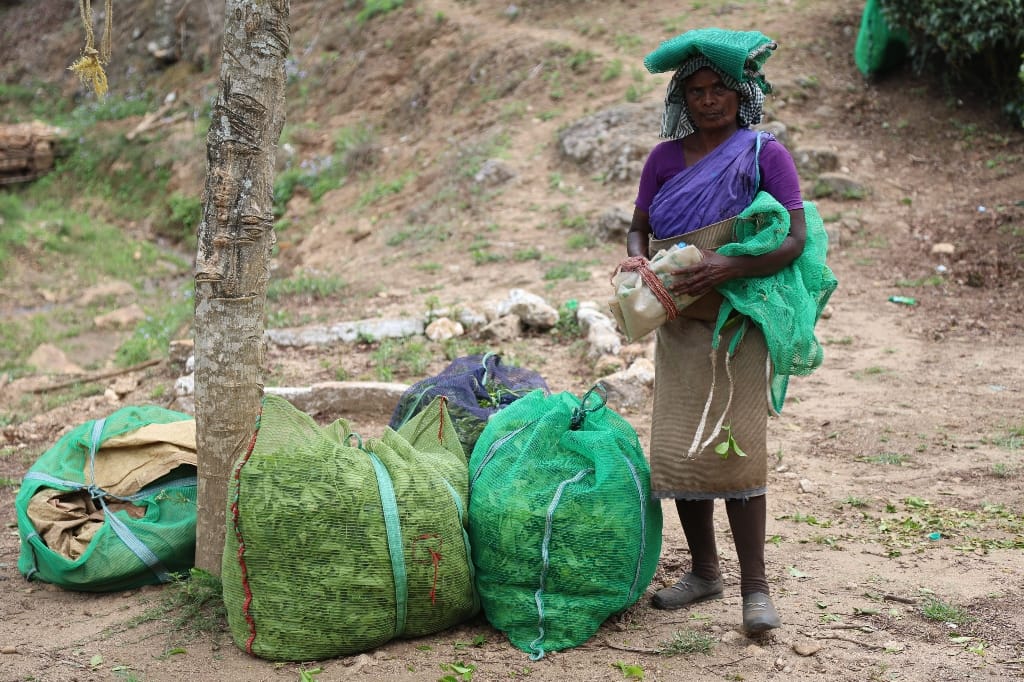 Rondreis India Maatwerkreizen Never Stop Travelling Delhi Mumbai Udaipur Taj Mahal Agra Jaipur Kerala Jodhpur Avontuurlijk Azië