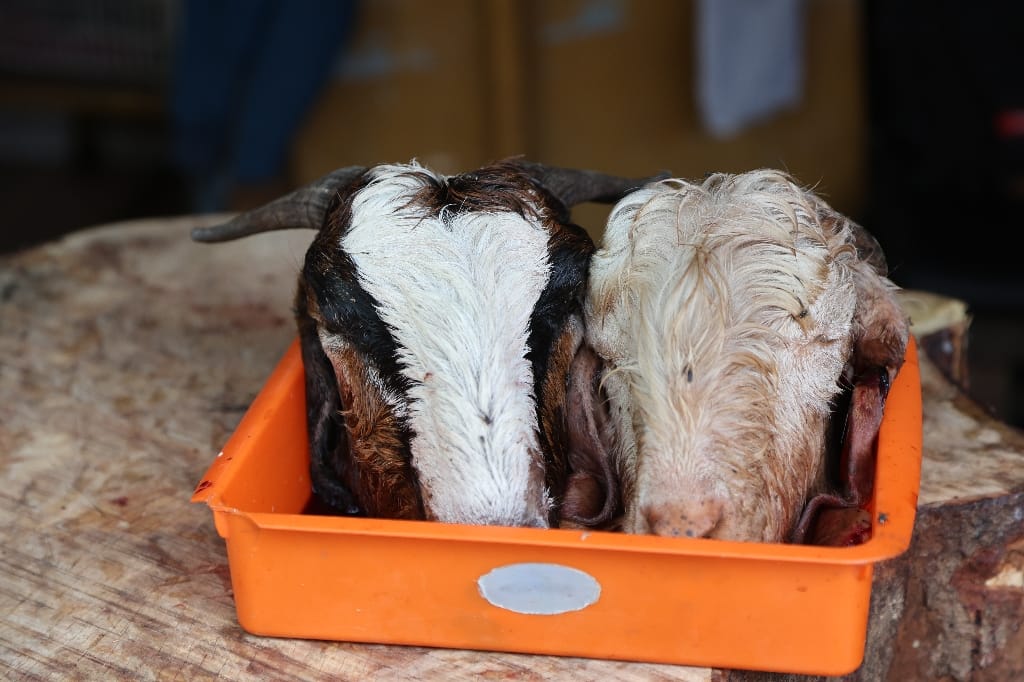 Rondreis India Maatwerkreizen Never Stop Travelling Delhi Mumbai Udaipur Taj Mahal Agra Jaipur Kerala Jodhpur Avontuurlijk Azië