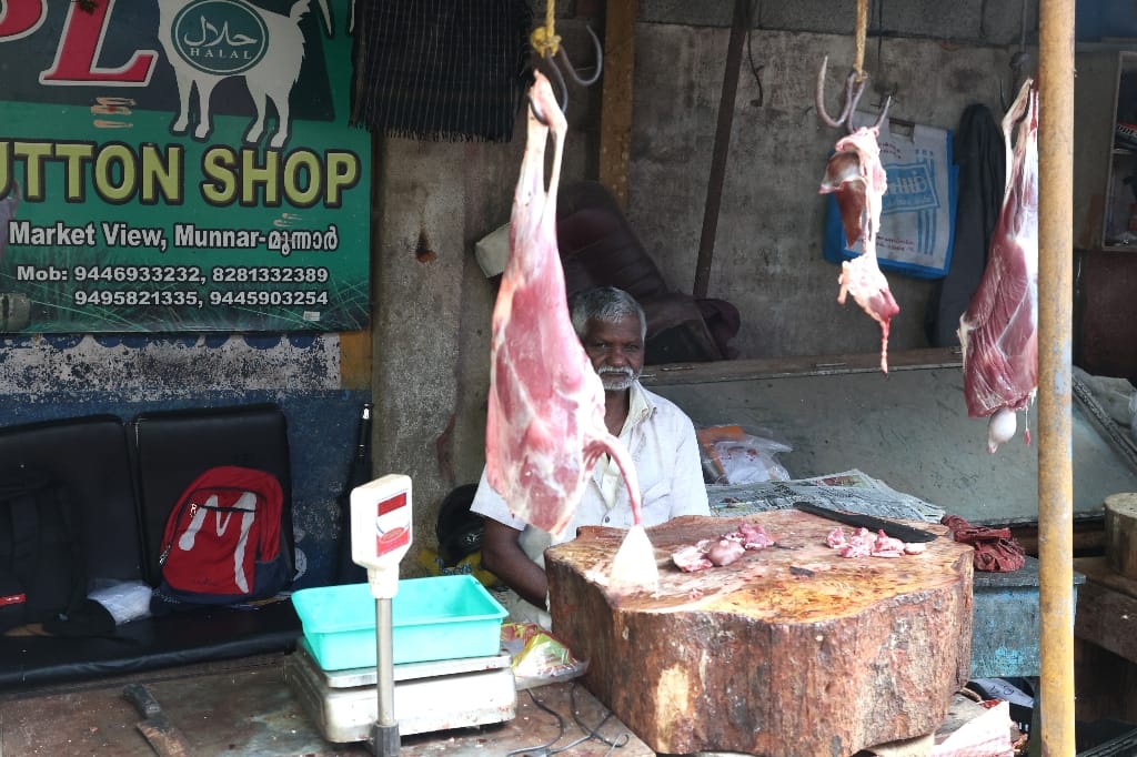 Rondreis India Maatwerkreizen Never Stop Travelling Delhi Mumbai Udaipur Taj Mahal Agra Jaipur Kerala Jodhpur Avontuurlijk Azië