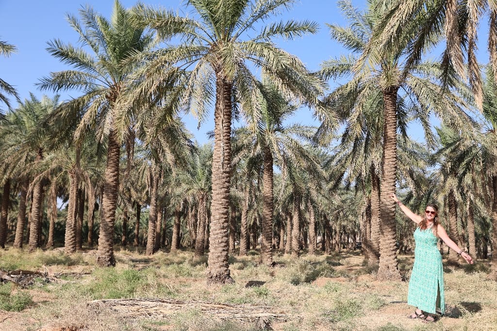 Saoedi Arabië Rondreis Maatwerkreizen Buraidah