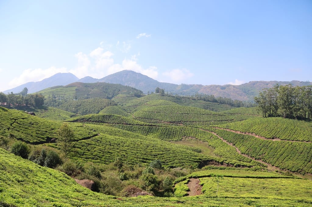 Rondreis India Maatwerkreizen Never Stop Travelling Delhi Mumbai Udaipur Taj Mahal Agra Jaipur Kerala Jodhpur Avontuurlijk Azië