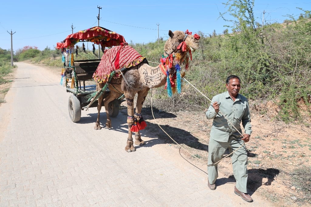 Rondreis India Maatwerkreizen Never Stop Travelling Delhi Mumbai Udaipur Taj Mahal Agra Jaipur Kerala Jodhpur