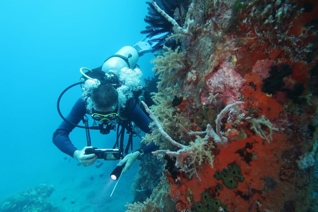 Alor AlorDivers Kupang Indonesië rondreis duiken NeverStopTravelling