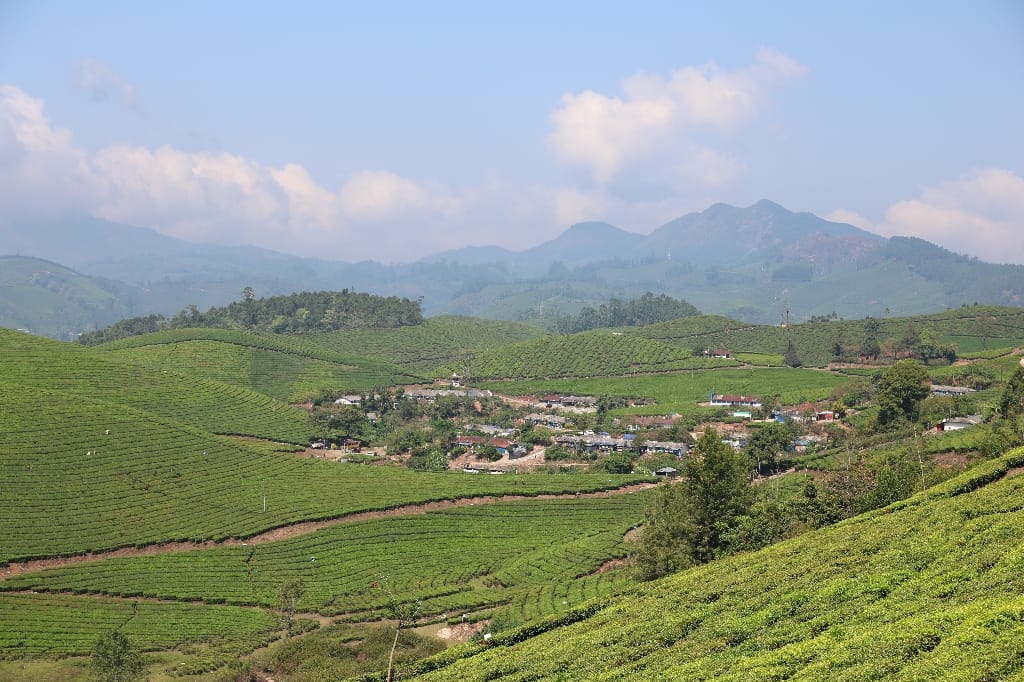 Rondreis India Maatwerkreizen Never Stop Travelling Delhi Mumbai Udaipur Taj Mahal Agra Jaipur Kerala Jodhpur Avontuurlijk Azië