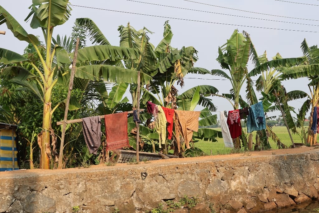 Rondreis India Maatwerkreizen Never Stop Travelling Delhi Mumbai Udaipur Taj Mahal Agra Jaipur Kerala Jodhpur Avontuurlijk Azië